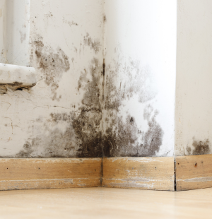 Restoration Pro LA FAQ section